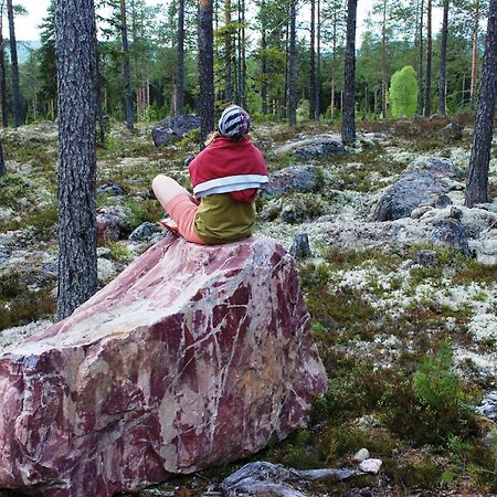 16 - Nasjonalpark-sykling-kano-fisking- skogs- og fjellturer Ljørdal Eksteriør bilde