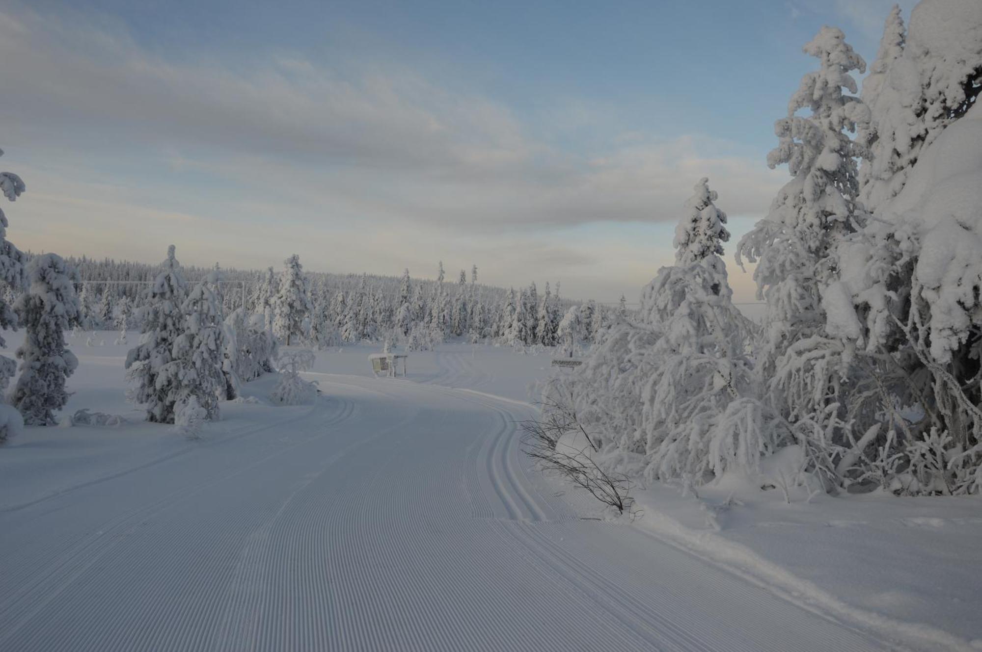 16 - Nasjonalpark-sykling-kano-fisking- skogs- og fjellturer Ljørdal Eksteriør bilde