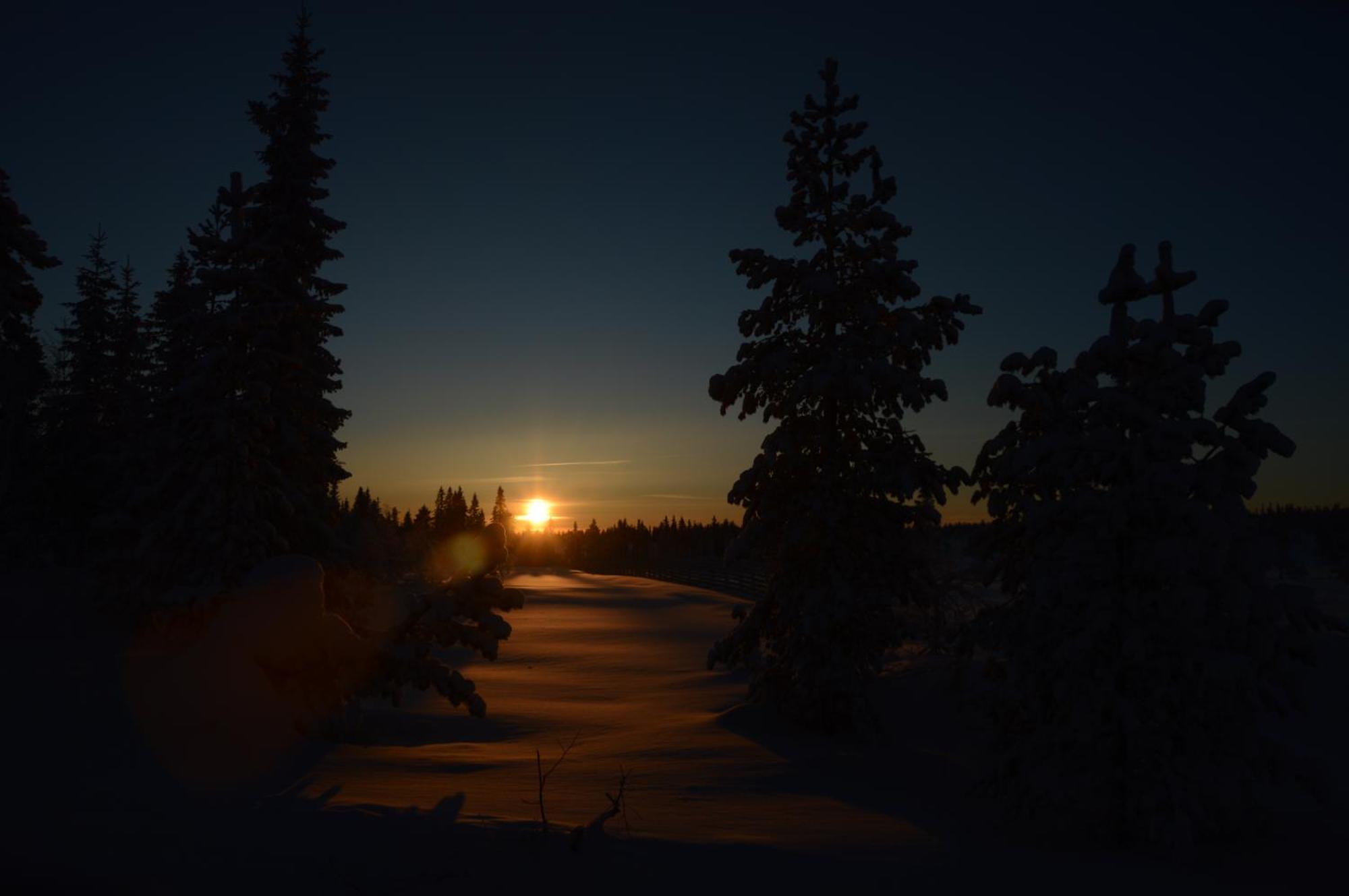 16 - Nasjonalpark-sykling-kano-fisking- skogs- og fjellturer Ljørdal Eksteriør bilde