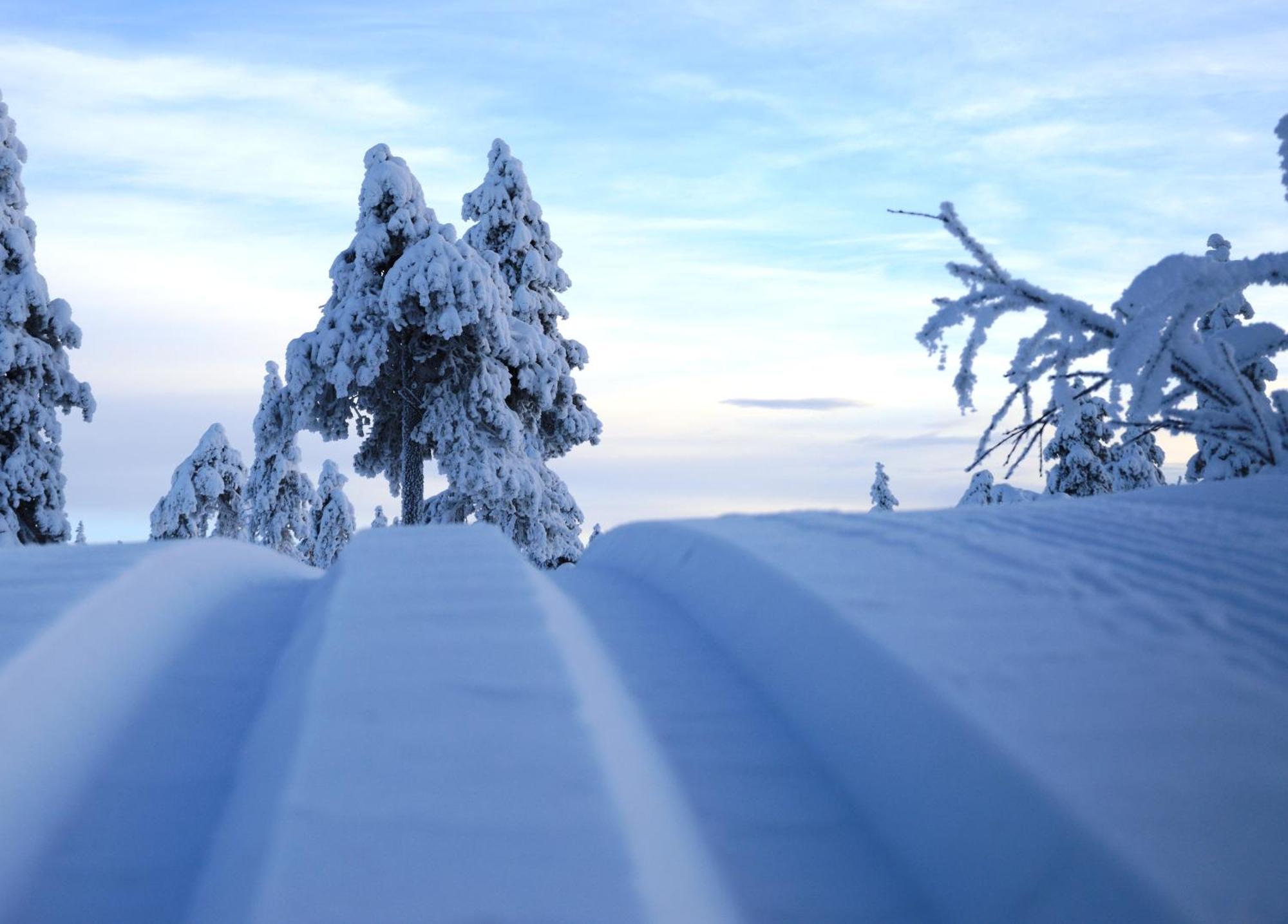 16 - Nasjonalpark-sykling-kano-fisking- skogs- og fjellturer Ljørdal Eksteriør bilde