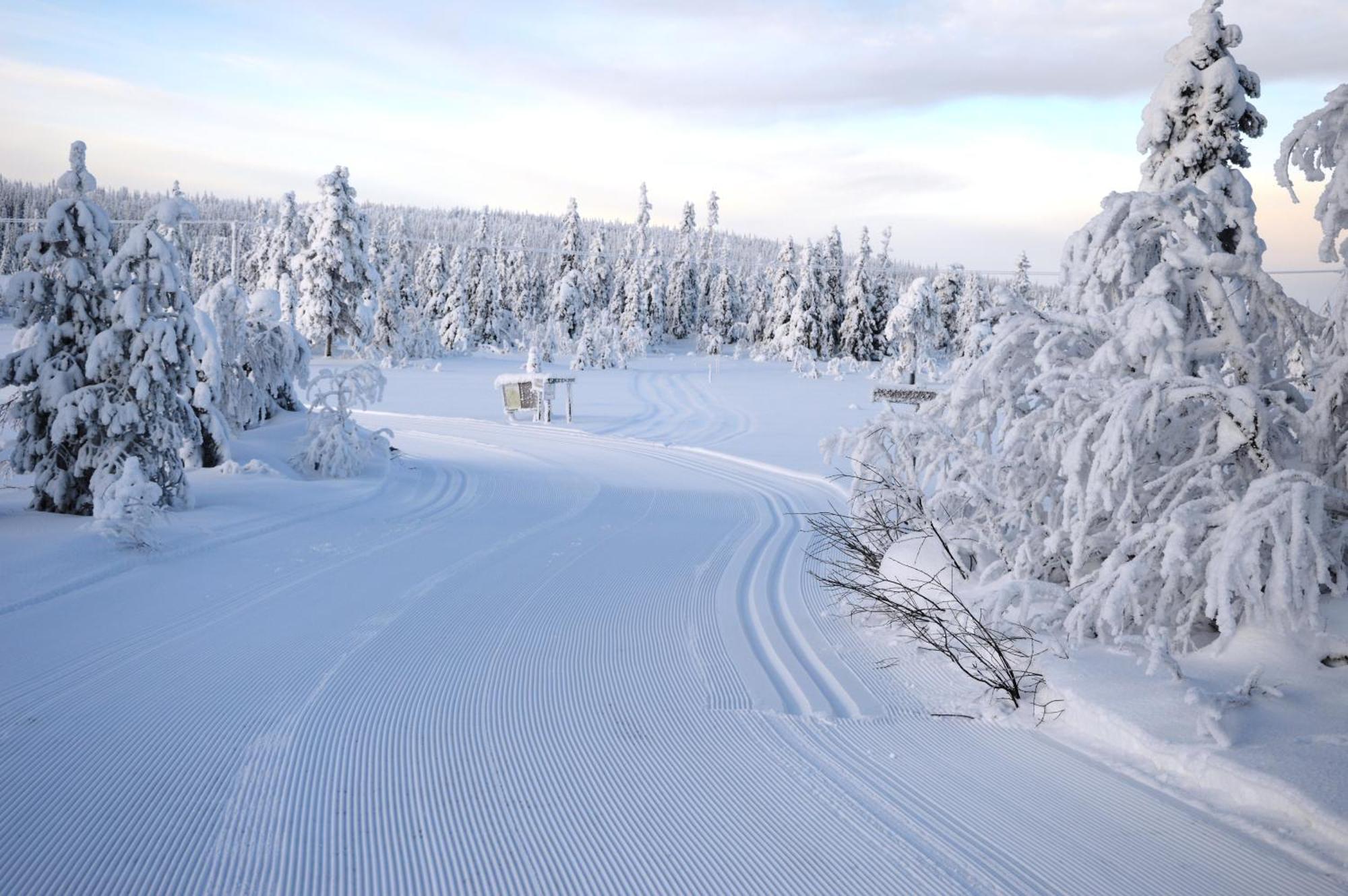 16 - Nasjonalpark-sykling-kano-fisking- skogs- og fjellturer Ljørdal Eksteriør bilde