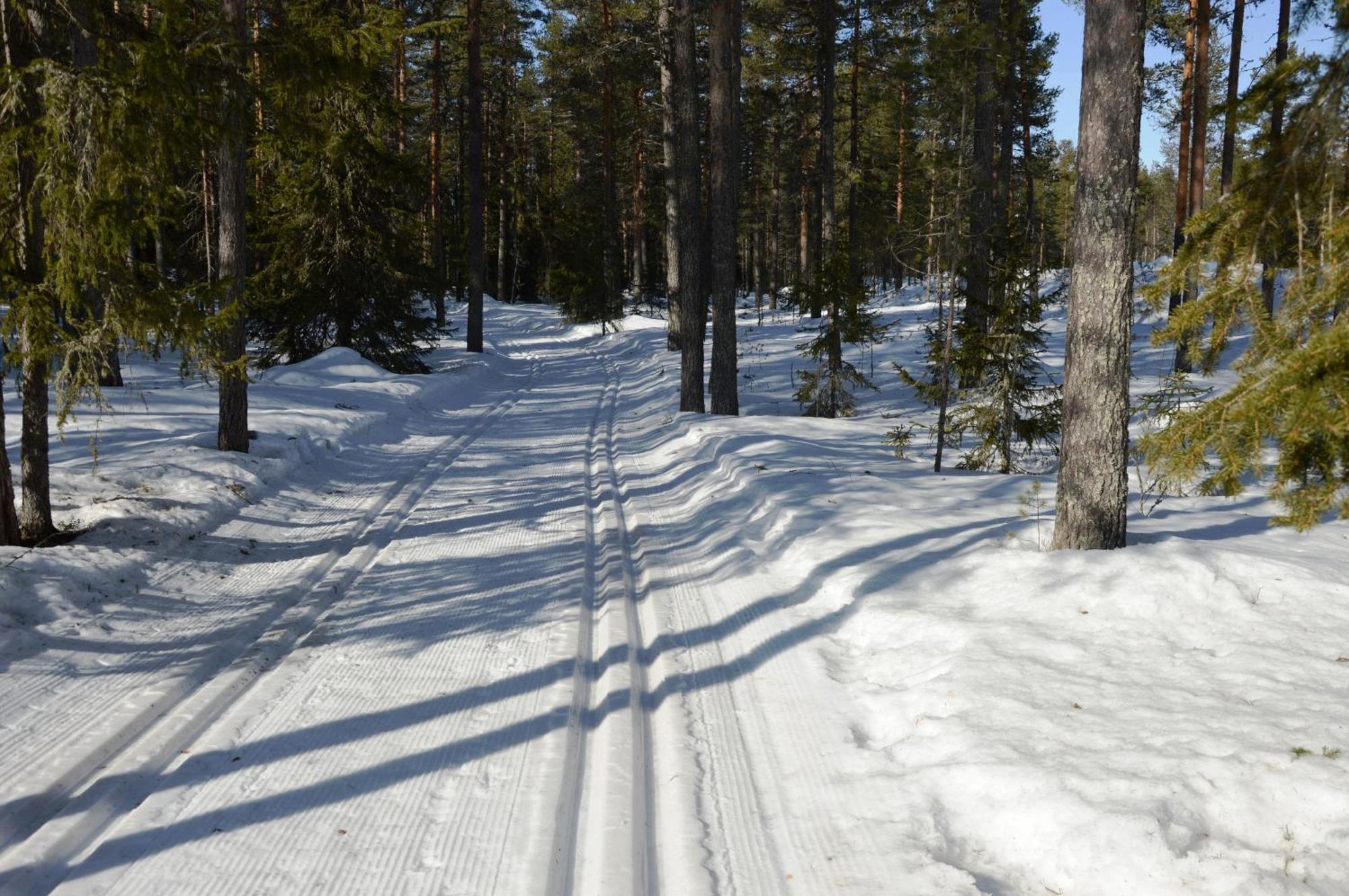 16 - Nasjonalpark-sykling-kano-fisking- skogs- og fjellturer Ljørdal Eksteriør bilde