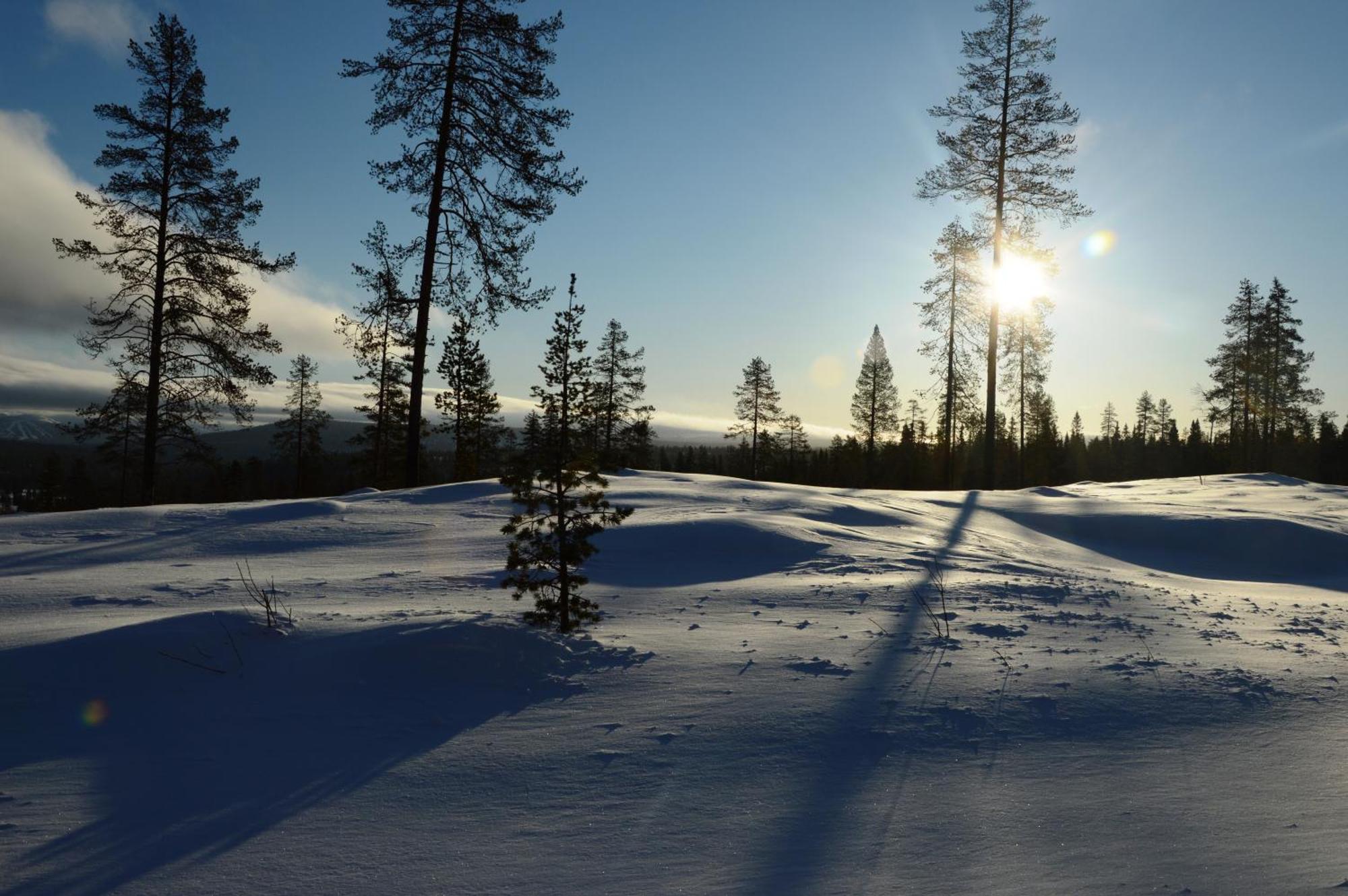 16 - Nasjonalpark-sykling-kano-fisking- skogs- og fjellturer Ljørdal Eksteriør bilde