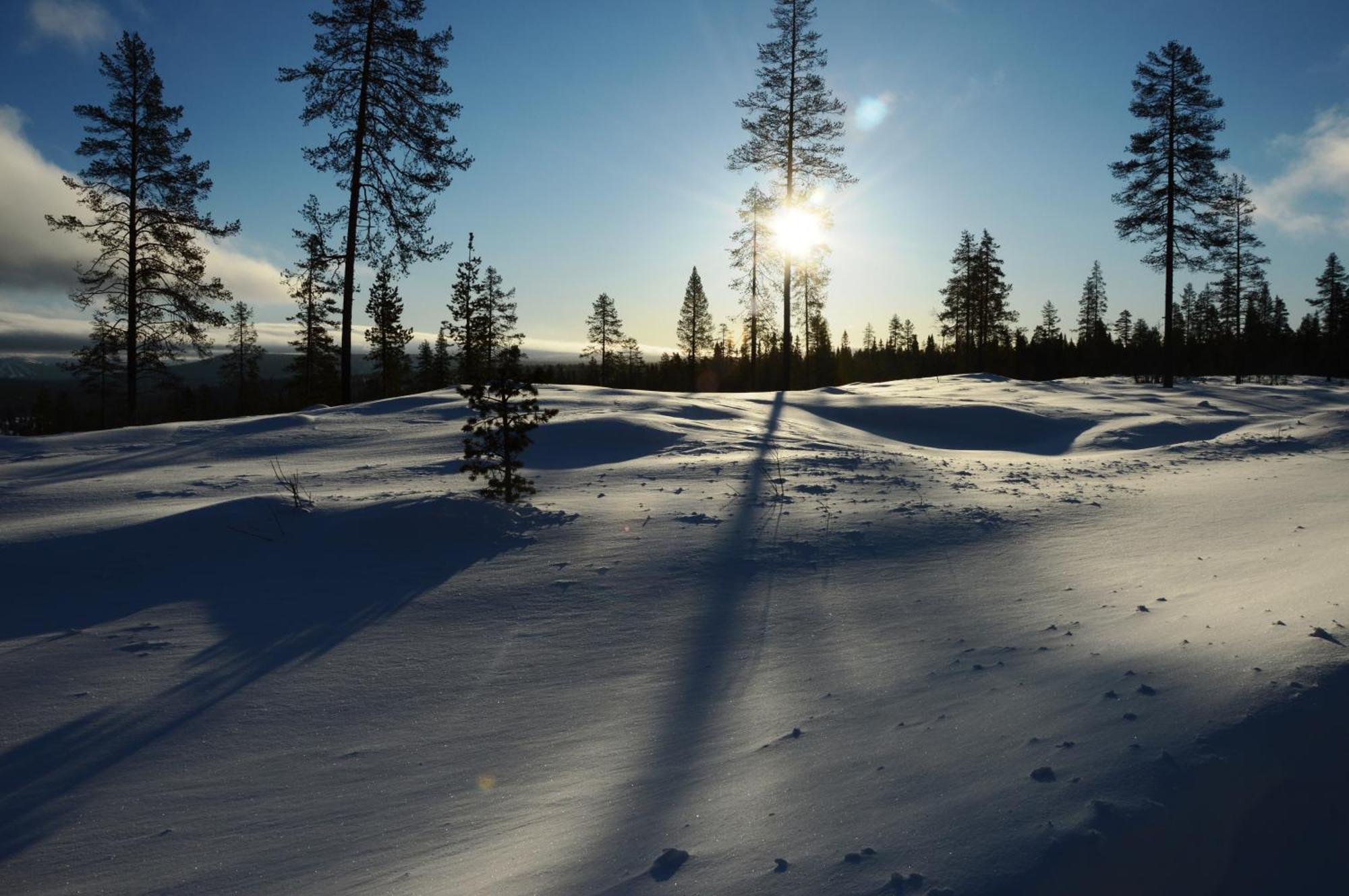 16 - Nasjonalpark-sykling-kano-fisking- skogs- og fjellturer Ljørdal Eksteriør bilde