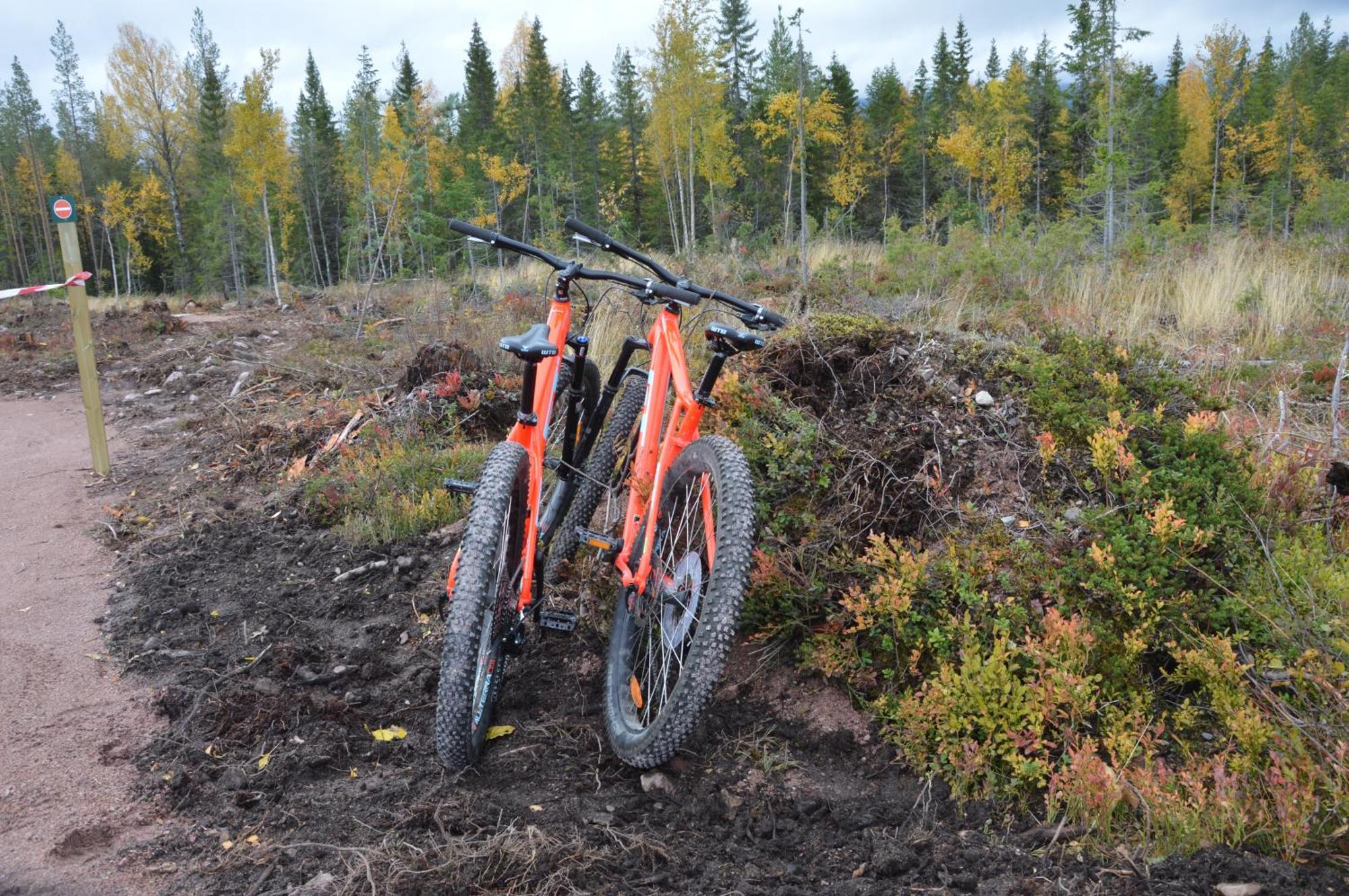 16 - Nasjonalpark-sykling-kano-fisking- skogs- og fjellturer Ljørdal Eksteriør bilde