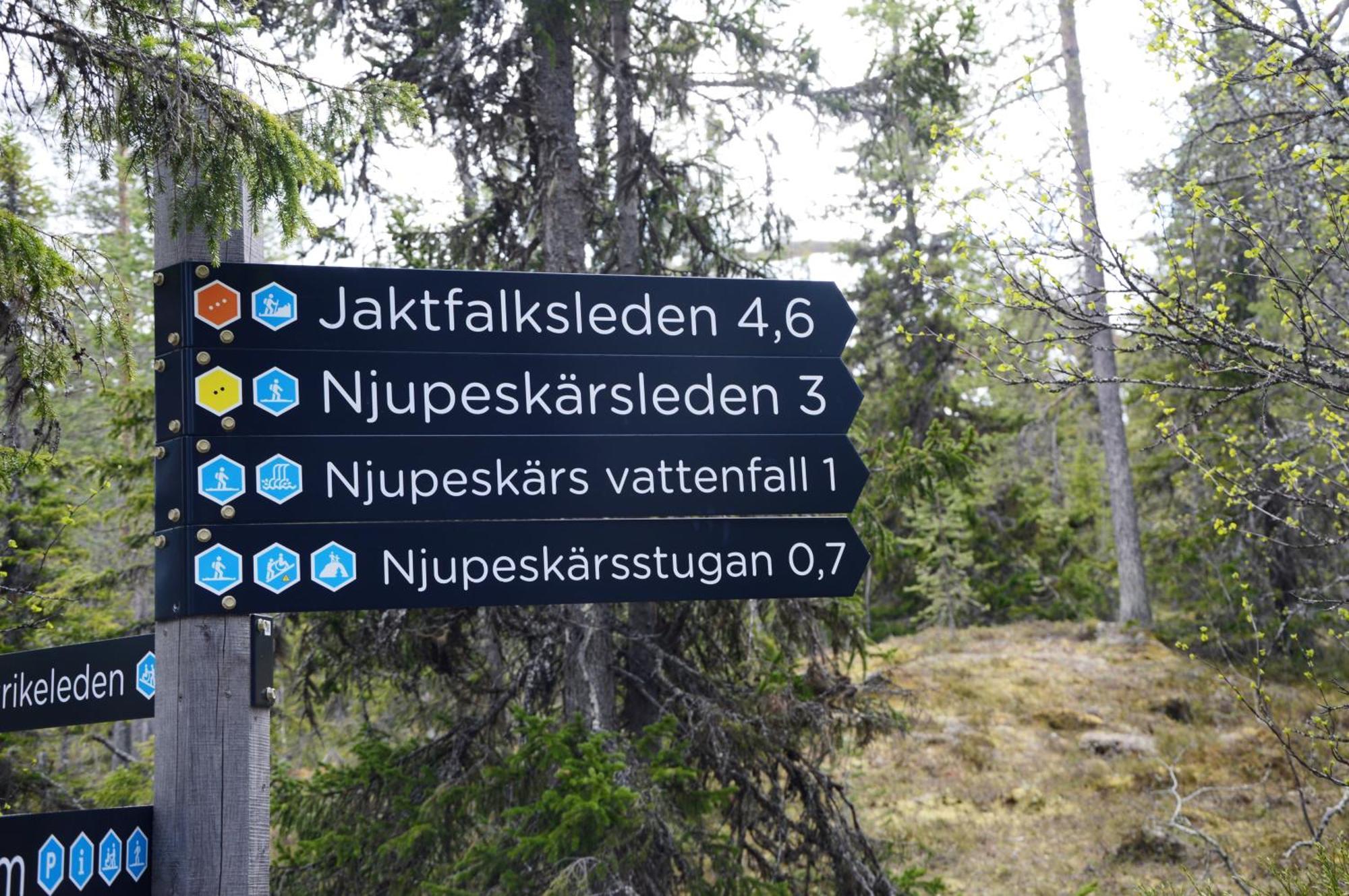 16 - Nasjonalpark-sykling-kano-fisking- skogs- og fjellturer Ljørdal Eksteriør bilde