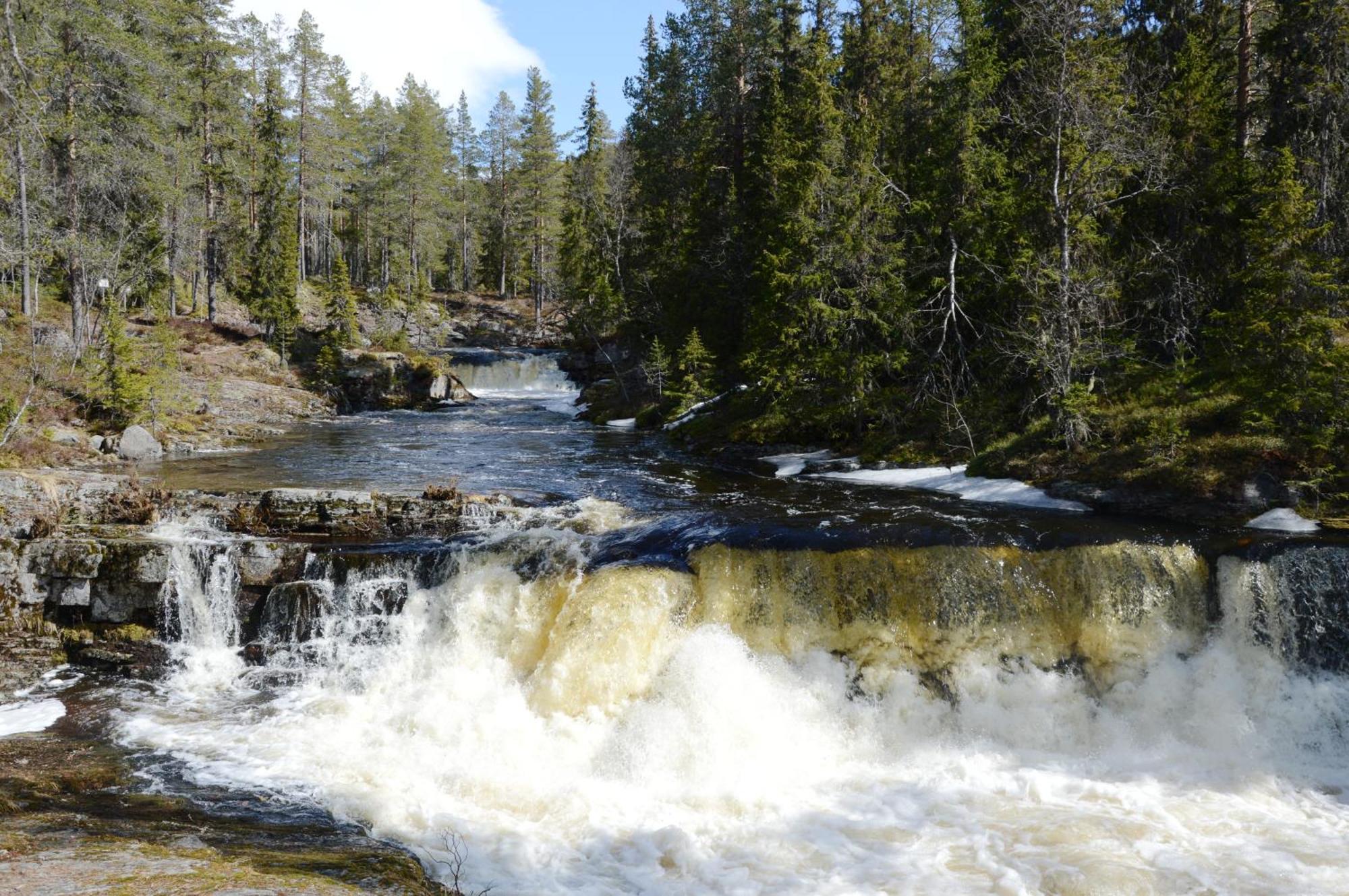 16 - Nasjonalpark-sykling-kano-fisking- skogs- og fjellturer Ljørdal Eksteriør bilde
