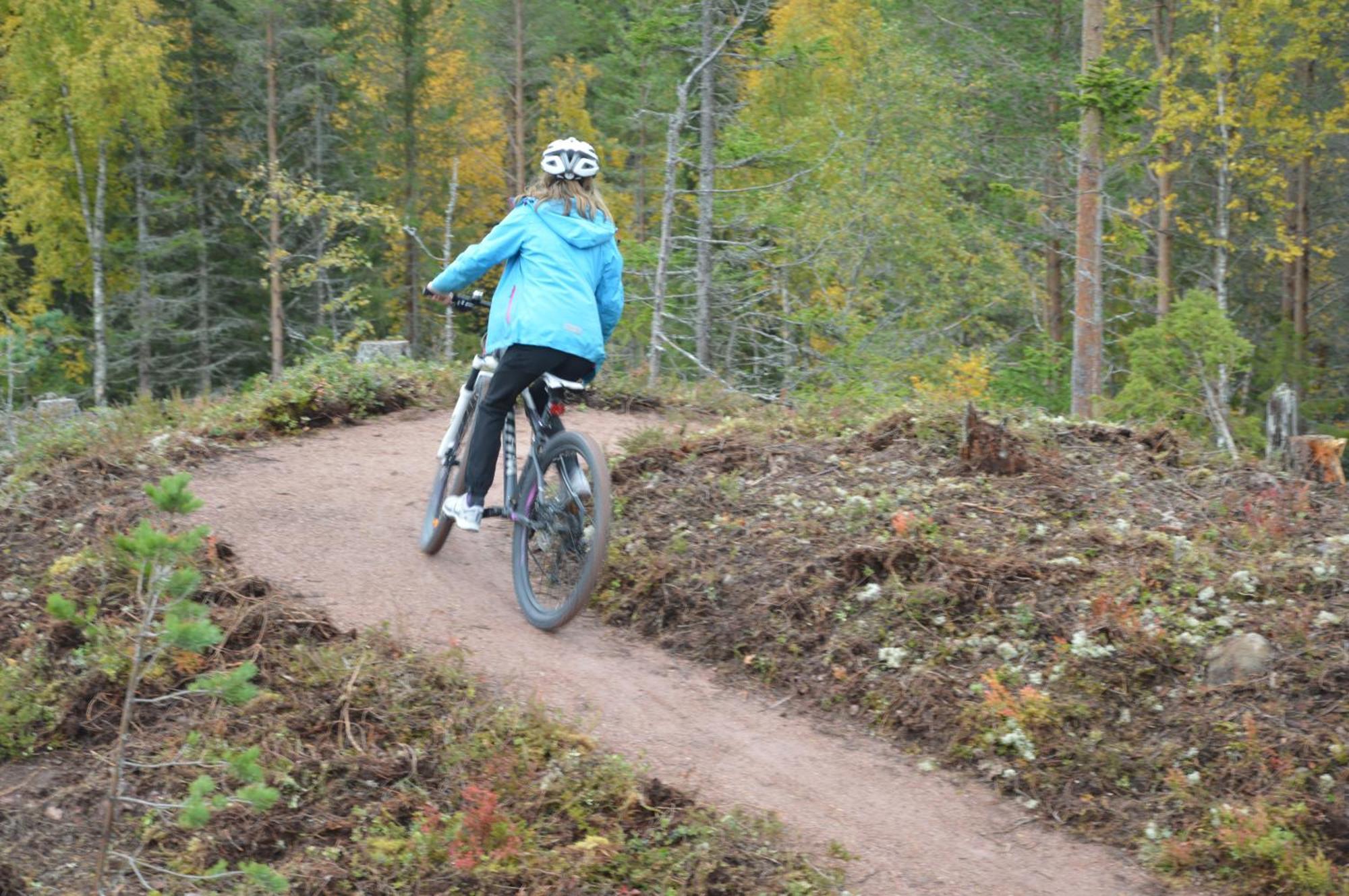 16 - Nasjonalpark-sykling-kano-fisking- skogs- og fjellturer Ljørdal Eksteriør bilde