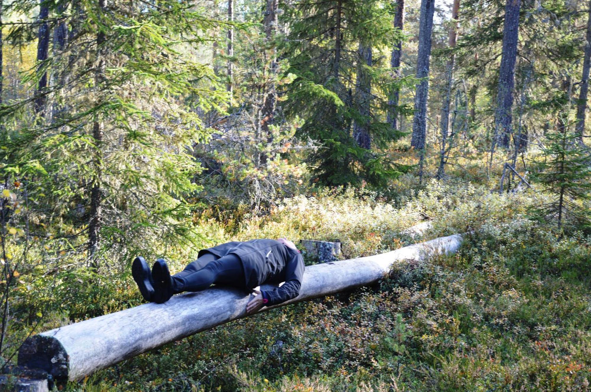 16 - Nasjonalpark-sykling-kano-fisking- skogs- og fjellturer Ljørdal Eksteriør bilde