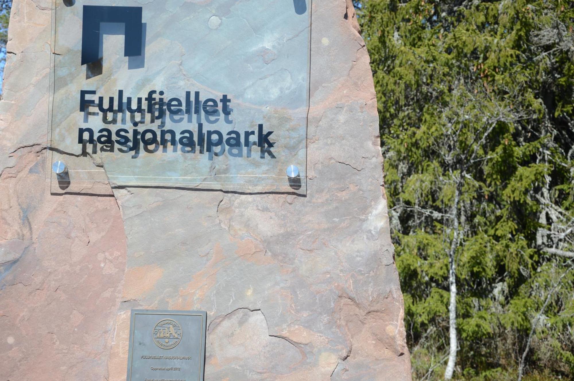 16 - Nasjonalpark-sykling-kano-fisking- skogs- og fjellturer Ljørdal Eksteriør bilde