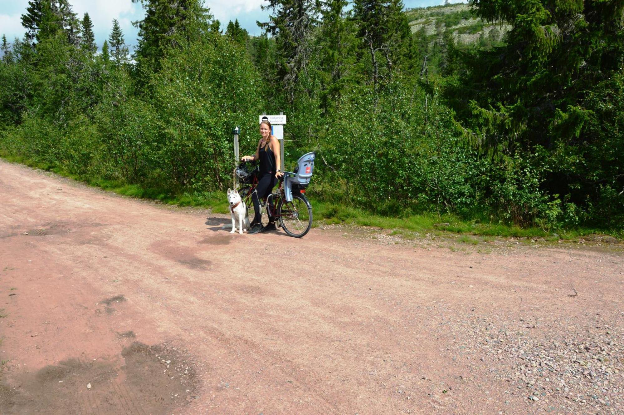 16 - Nasjonalpark-sykling-kano-fisking- skogs- og fjellturer Ljørdal Eksteriør bilde