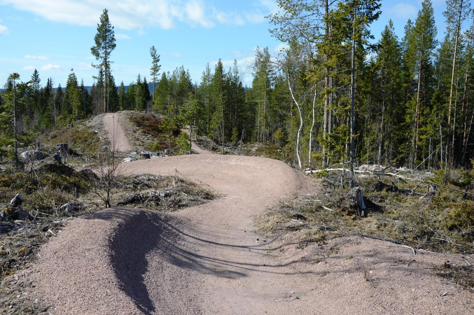 16 - Nasjonalpark-sykling-kano-fisking- skogs- og fjellturer Ljørdal Eksteriør bilde