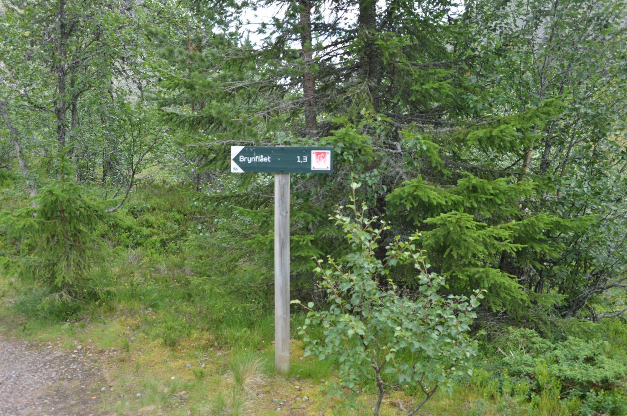 16 - Nasjonalpark-sykling-kano-fisking- skogs- og fjellturer Ljørdal Eksteriør bilde