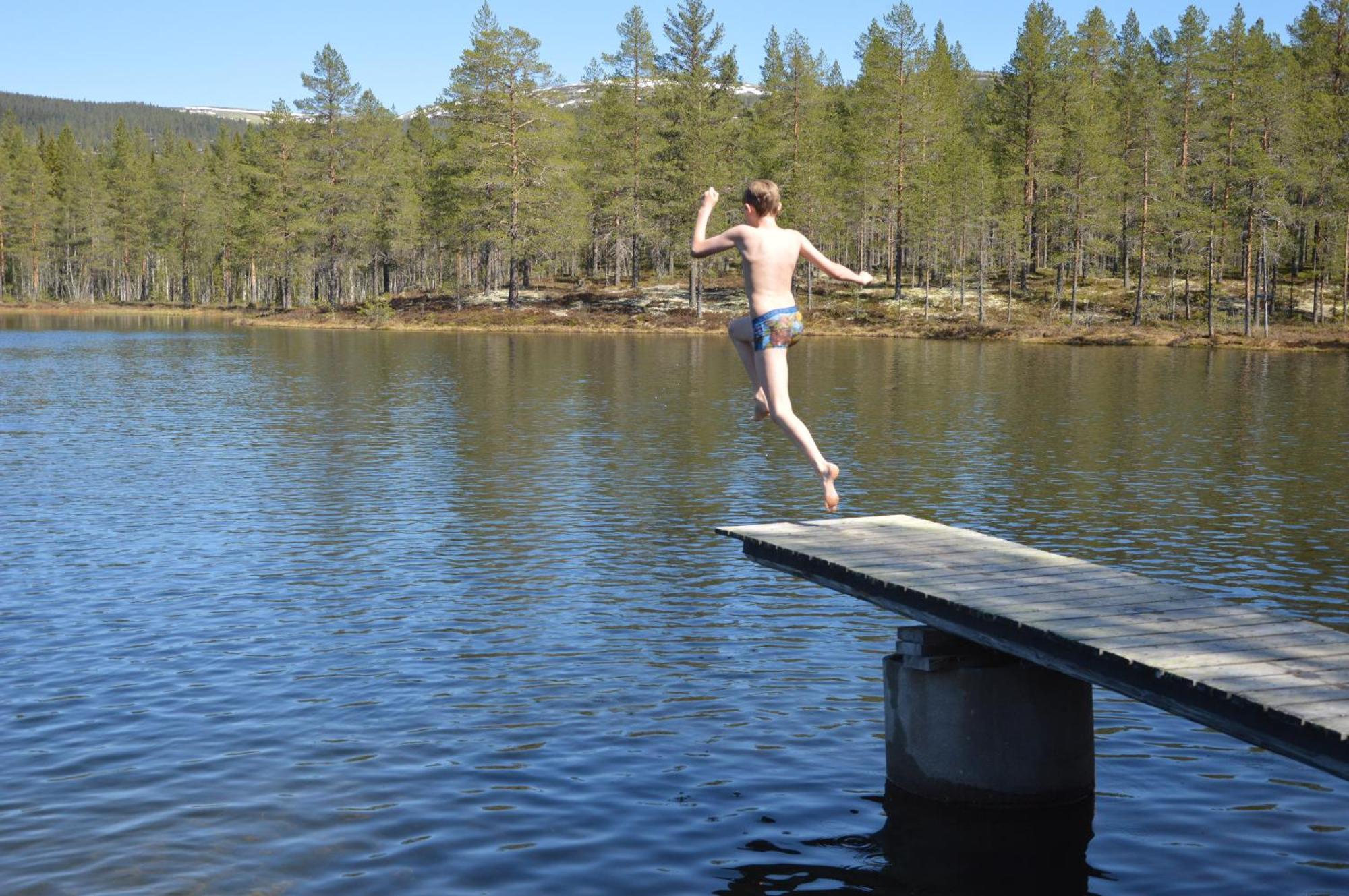 16 - Nasjonalpark-sykling-kano-fisking- skogs- og fjellturer Ljørdal Eksteriør bilde