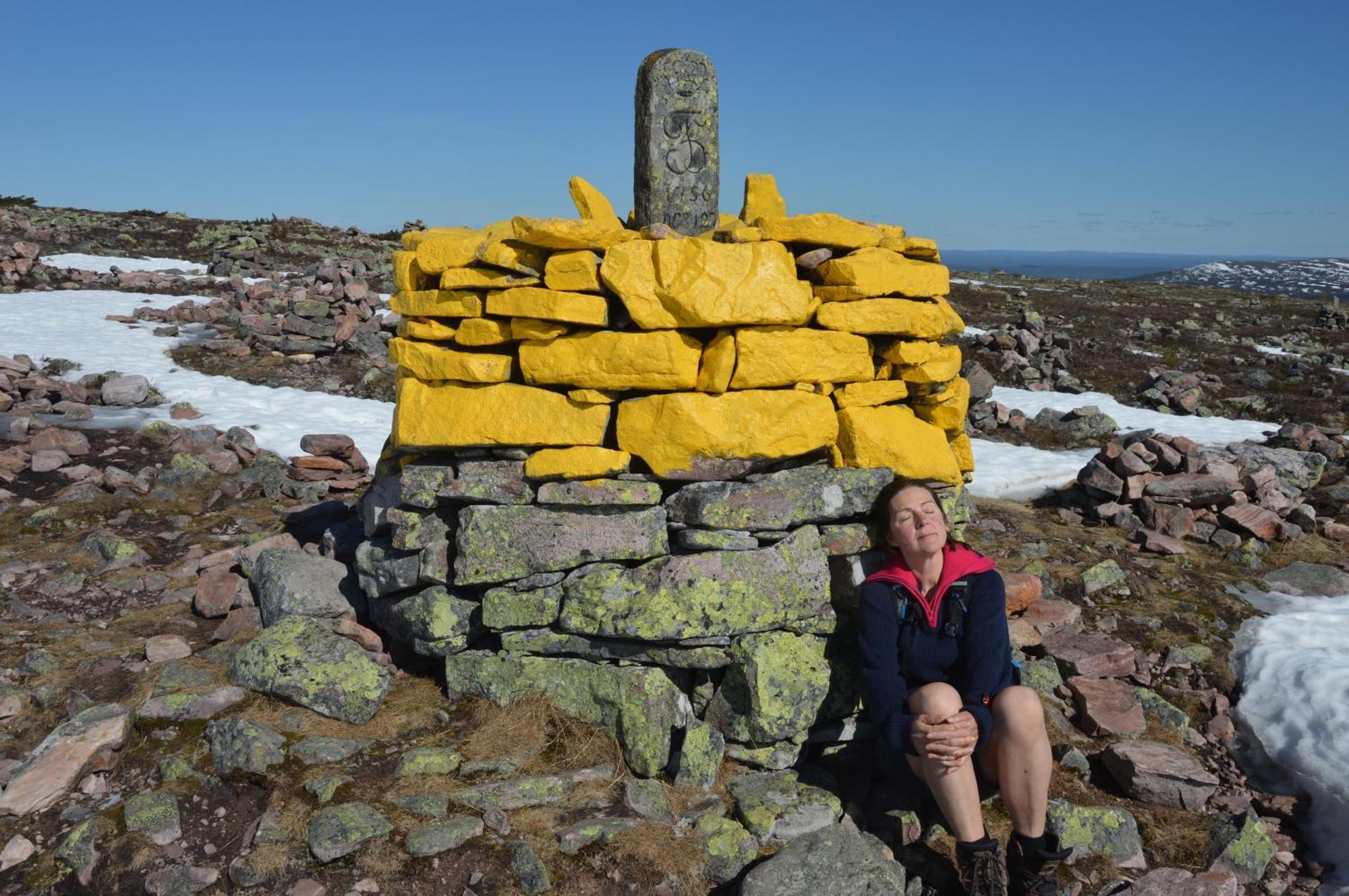 16 - Nasjonalpark-sykling-kano-fisking- skogs- og fjellturer Ljørdal Eksteriør bilde