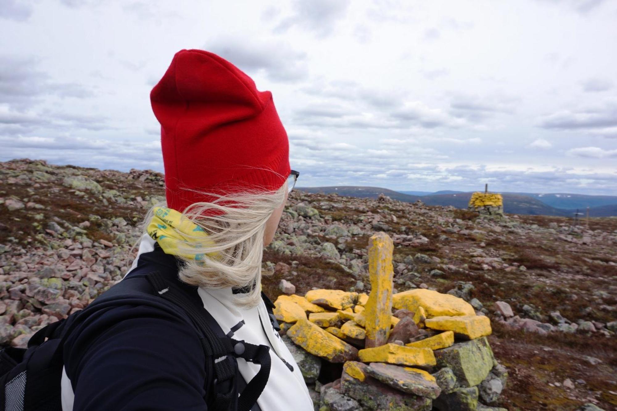 16 - Nasjonalpark-sykling-kano-fisking- skogs- og fjellturer Ljørdal Eksteriør bilde