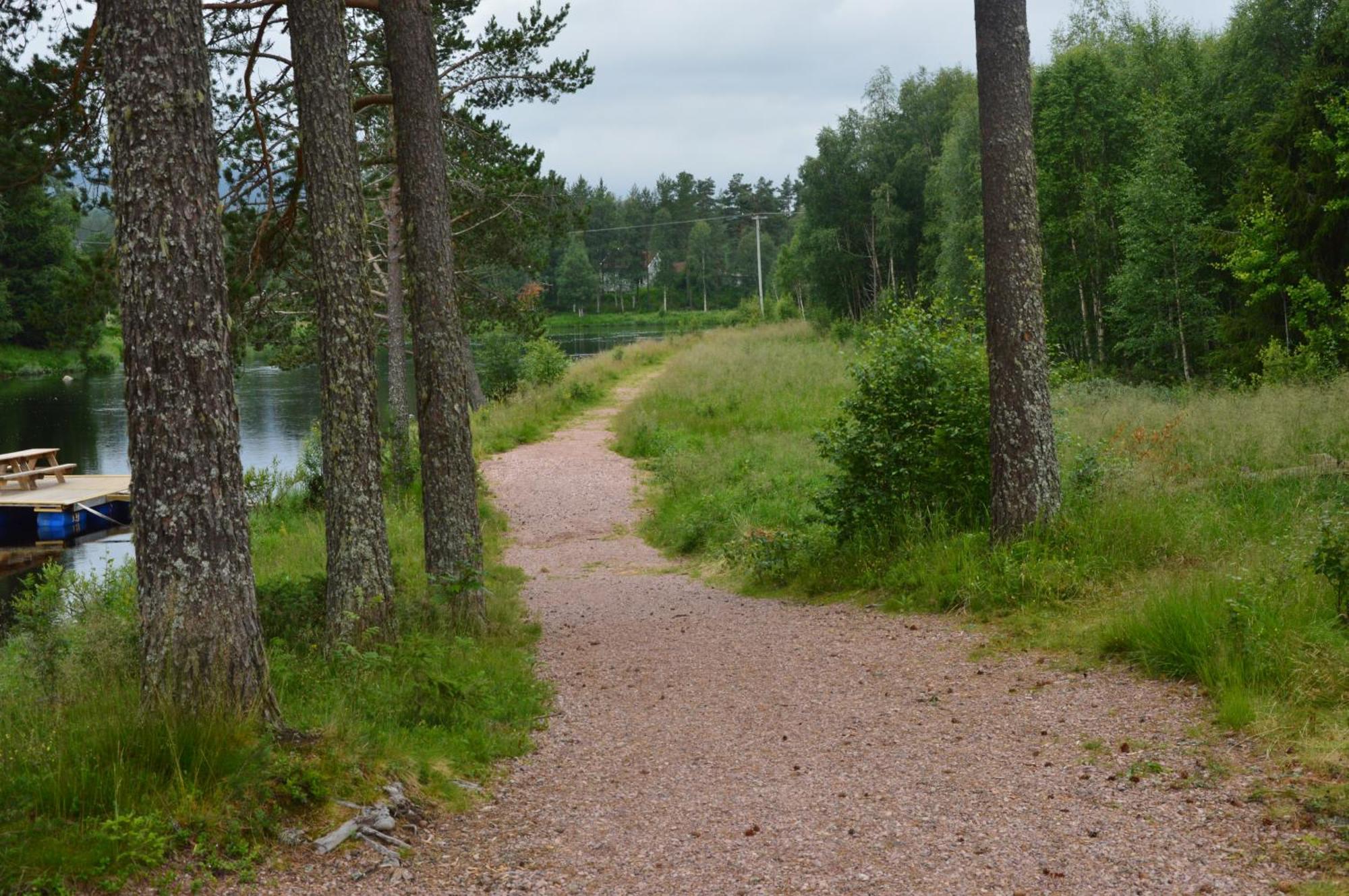 16 - Nasjonalpark-sykling-kano-fisking- skogs- og fjellturer Ljørdal Eksteriør bilde