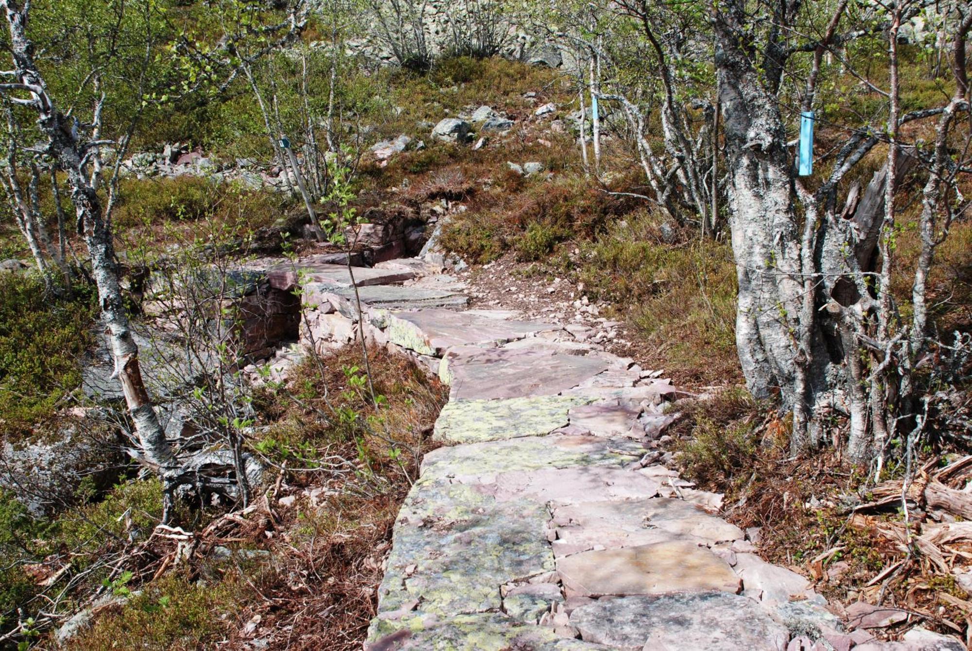 16 - Nasjonalpark-sykling-kano-fisking- skogs- og fjellturer Ljørdal Eksteriør bilde