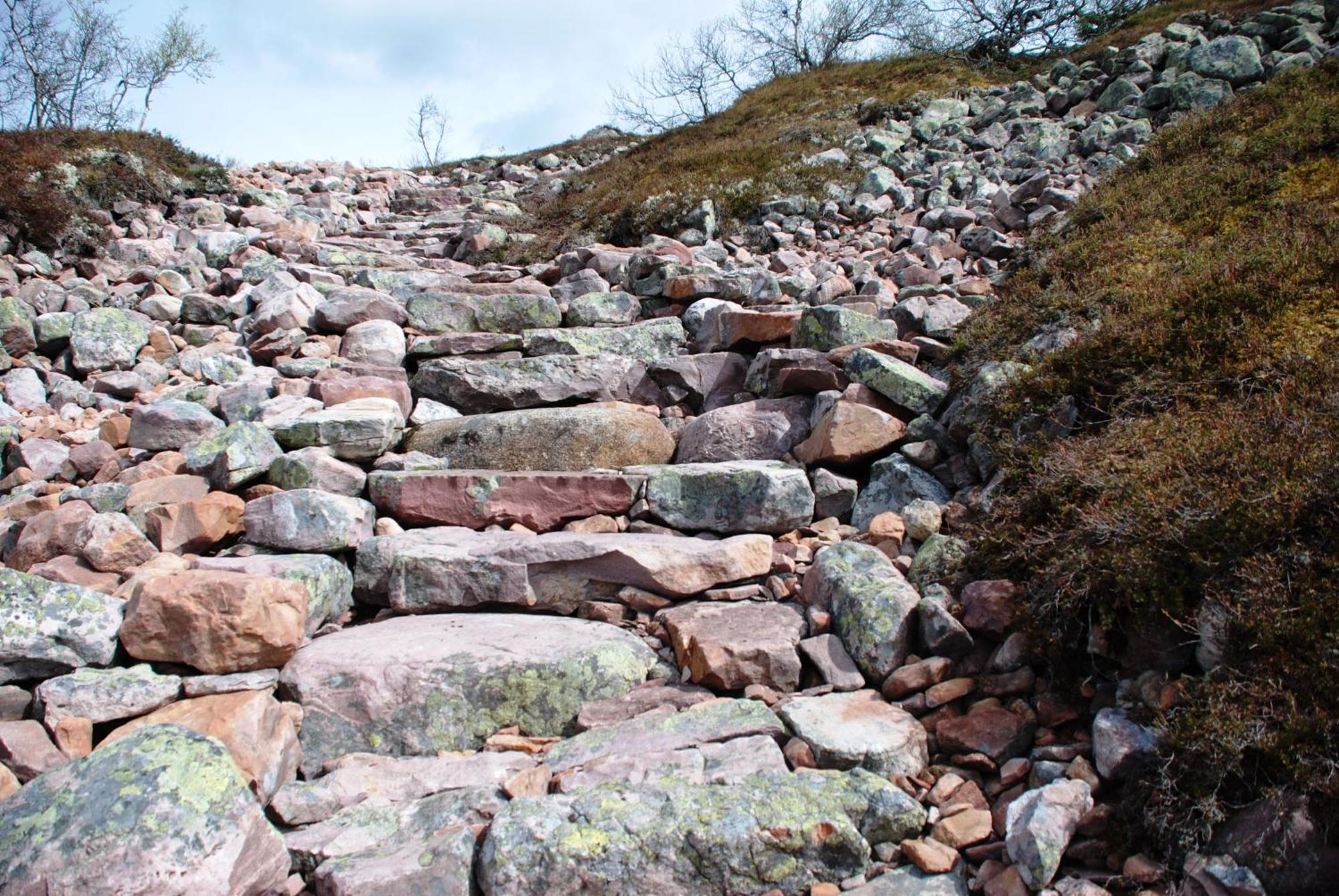 16 - Nasjonalpark-sykling-kano-fisking- skogs- og fjellturer Ljørdal Eksteriør bilde