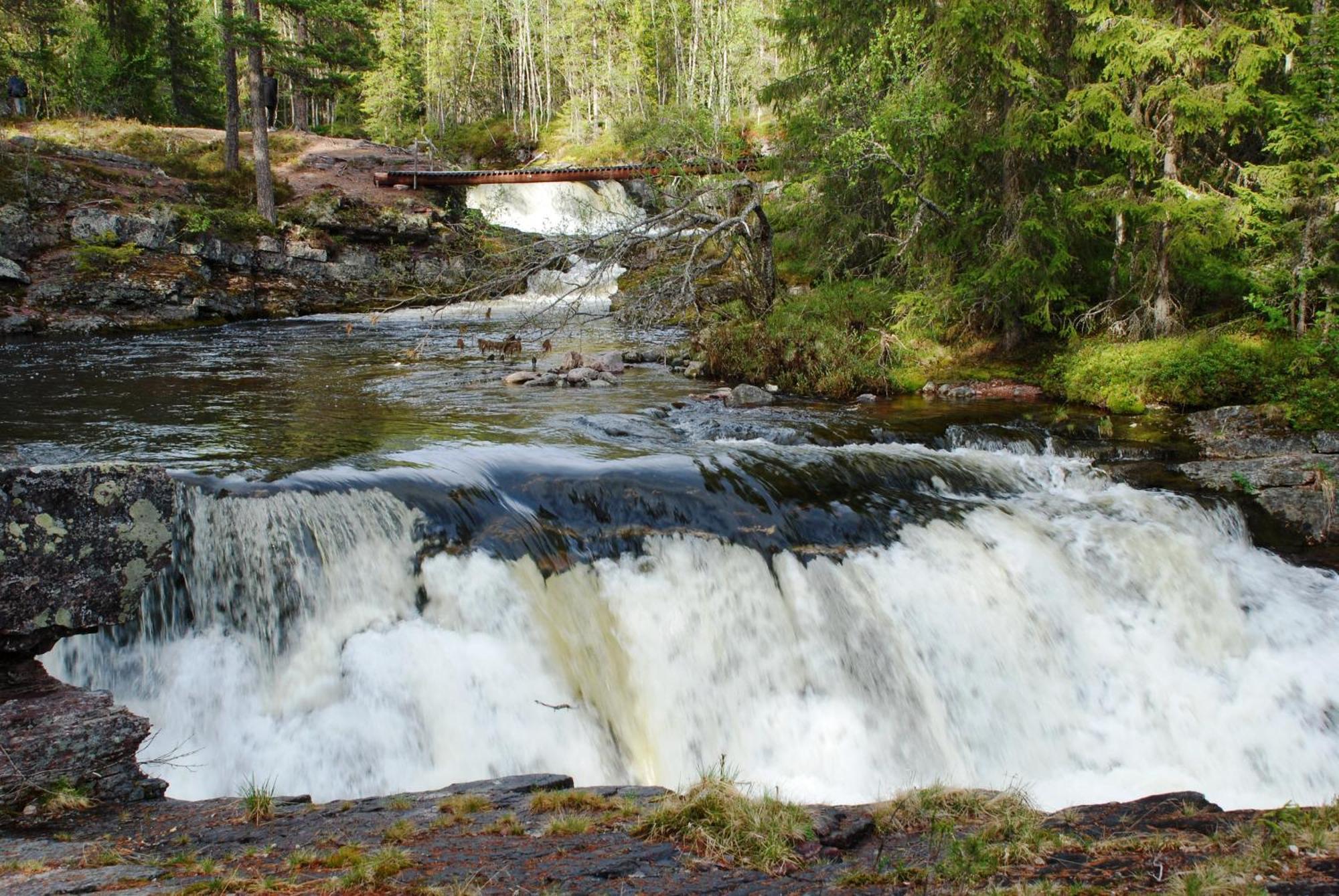 16 - Nasjonalpark-sykling-kano-fisking- skogs- og fjellturer Ljørdal Eksteriør bilde