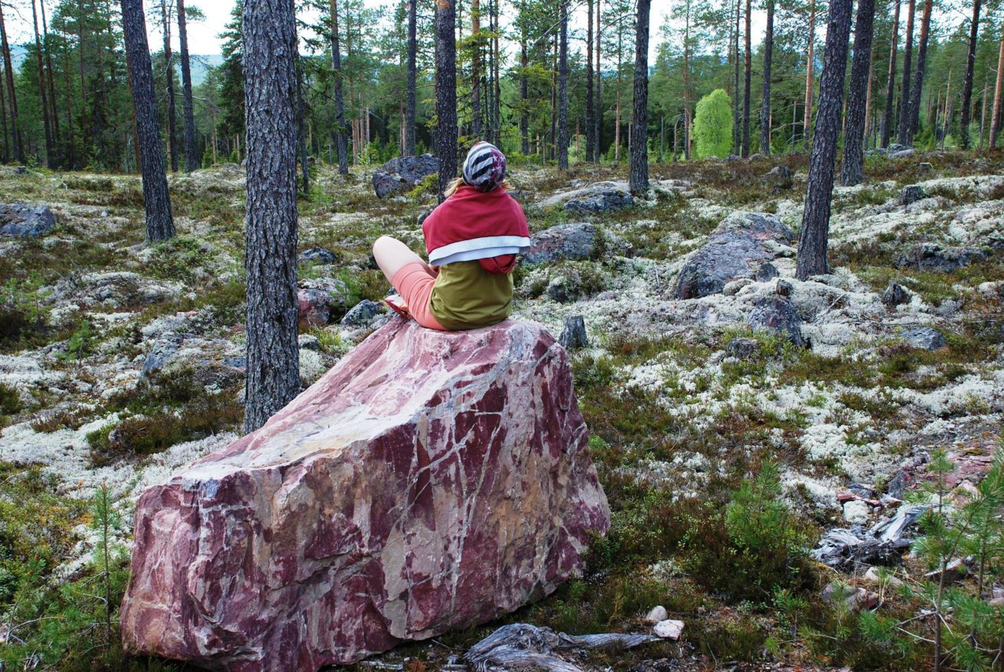 16 - Nasjonalpark-sykling-kano-fisking- skogs- og fjellturer Ljørdal Eksteriør bilde